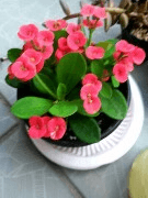 alstj80 프로필 사진